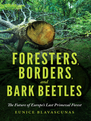 cover image of Foresters, Borders, and Bark Beetles